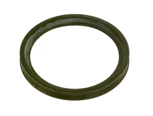 BOSCH-Dichtung-DN60-87110043670 gallery number 1
